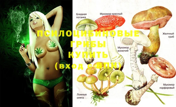 круглые Арсеньев
