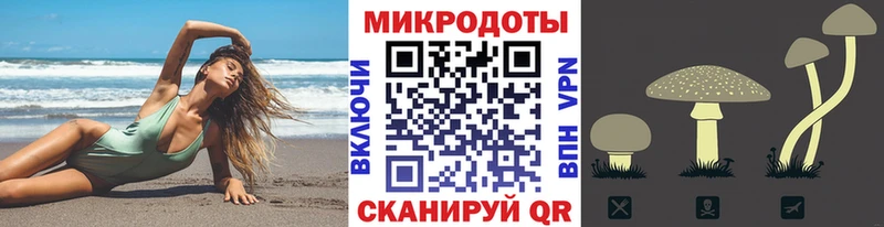 Псилоцибиновые грибы Psilocybine cubensis  Томмот 